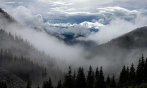 hair luvizac ingredient