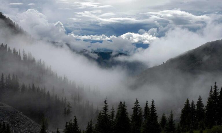 hair luvizac ingredient