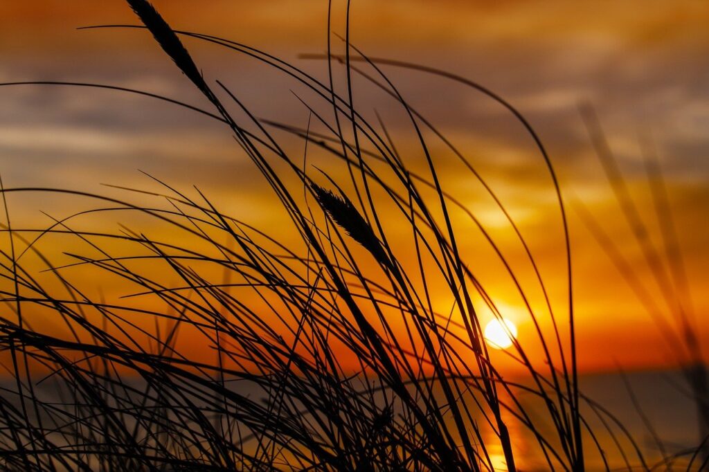 how does endbugflow software work