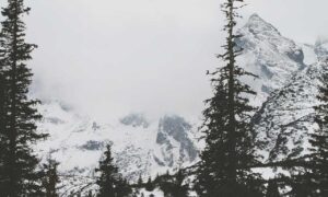 playing returnalgirl