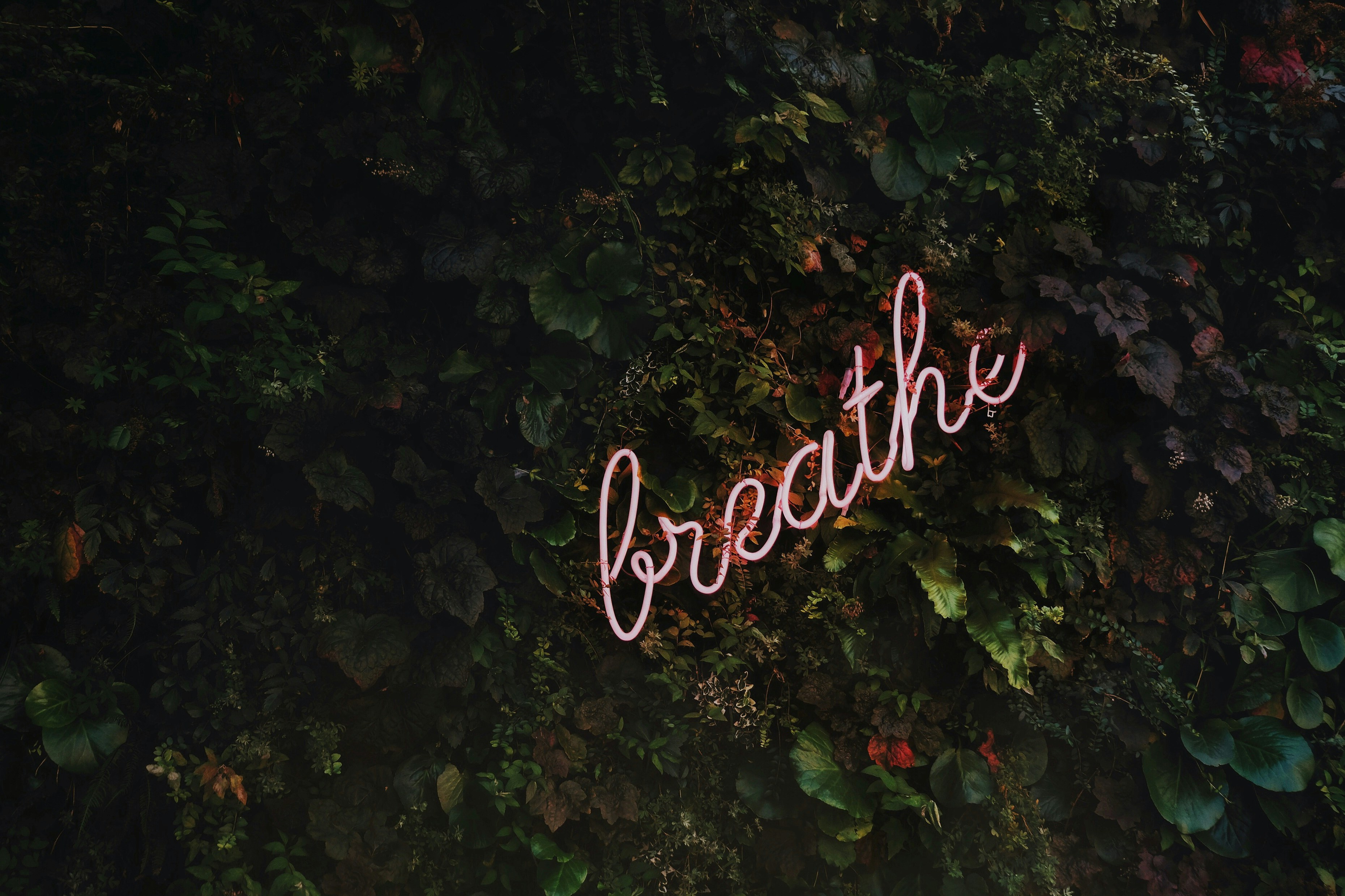 breathwork recovery