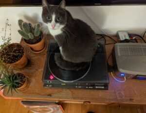 fntkgym gym tips by fitnesstalk