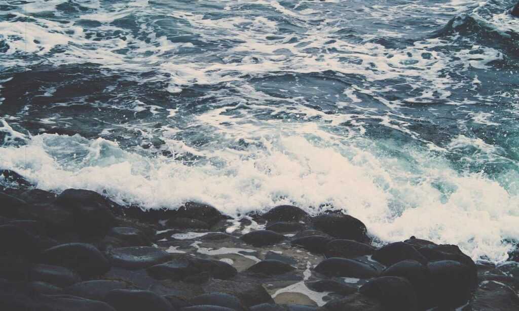 gymansium guide fntkgym