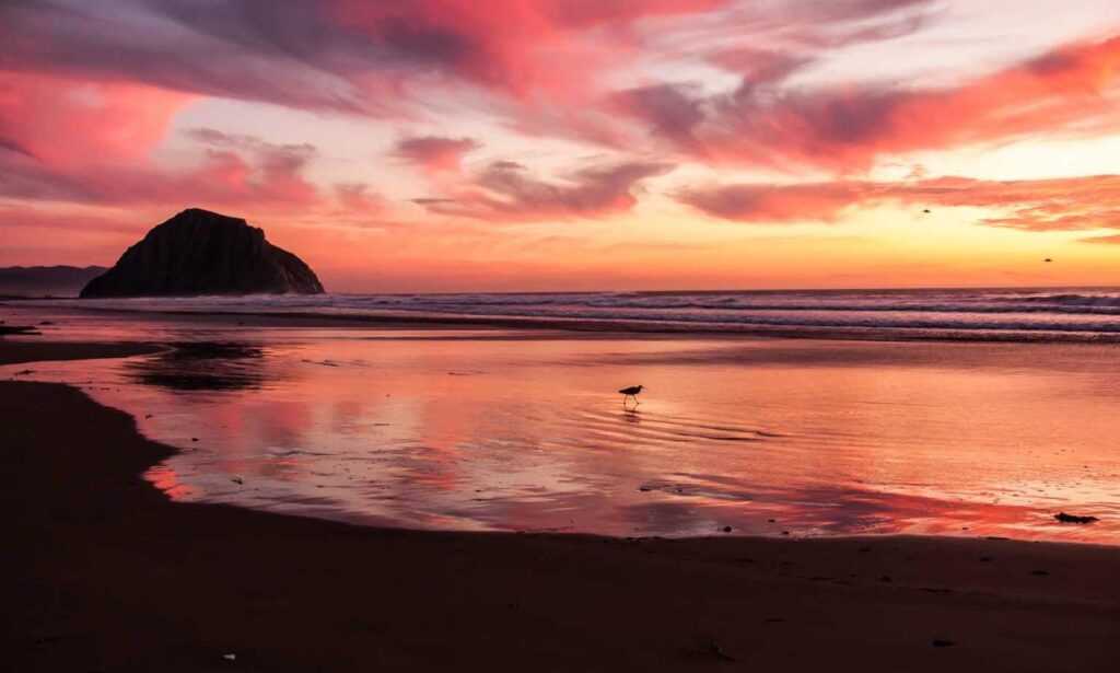 which pre workout should i buy fntkgym