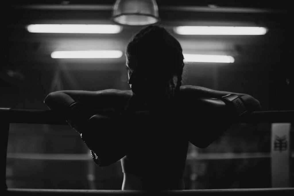 sffareboxing upcoming