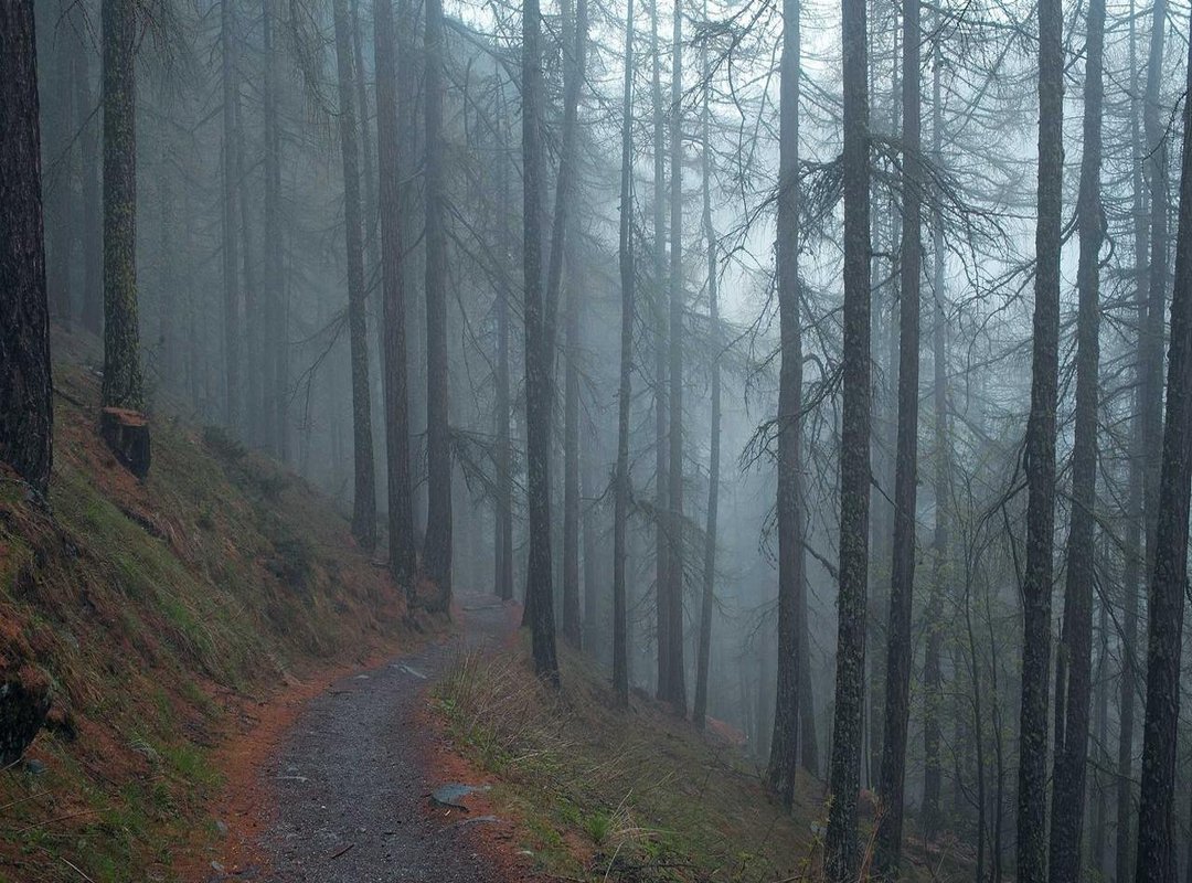 Biking vs. Driving: Covering 4km Quickly