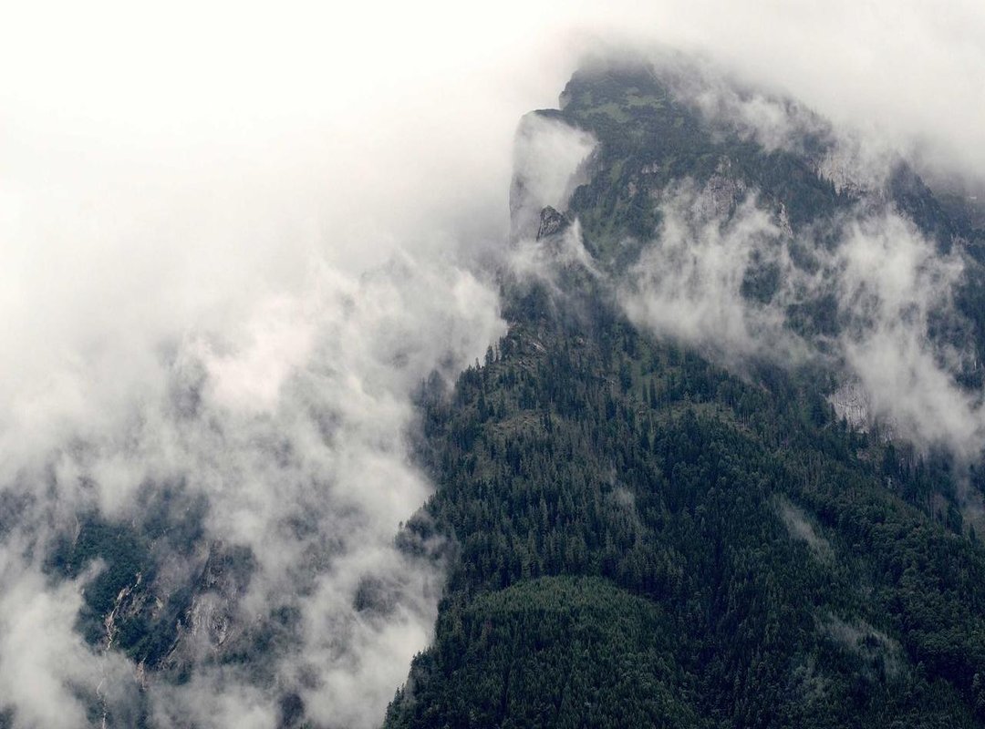 Analyzing the Online Conversation: Support, Backlash, and Key Themes