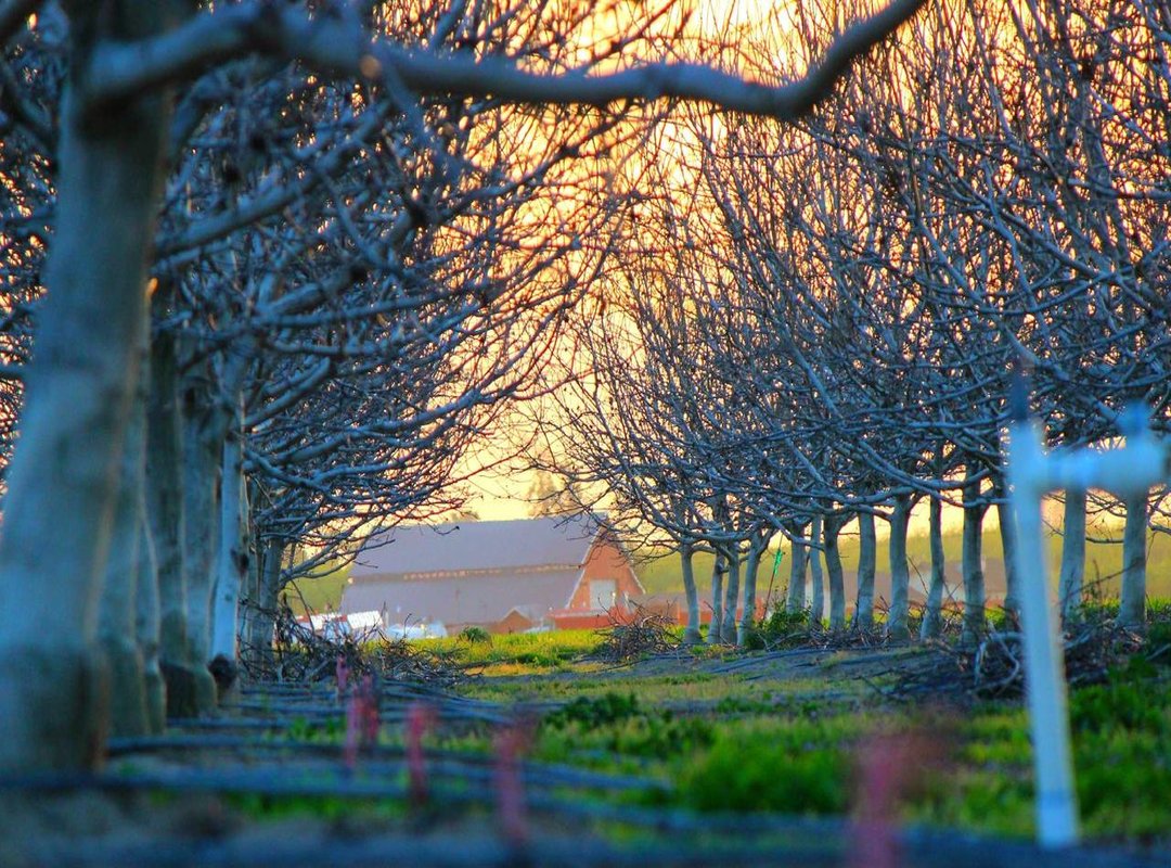 The Context: Why Companies Like Mondelēz Face Scrutiny