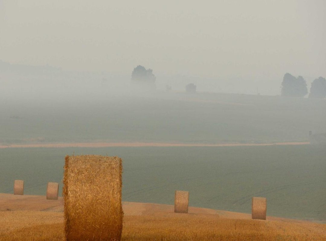 Adding Romance: Poetic Wishes for a Significant Other