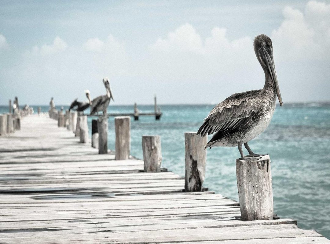 How to Draw Cyan: A Step-by-Step Guide