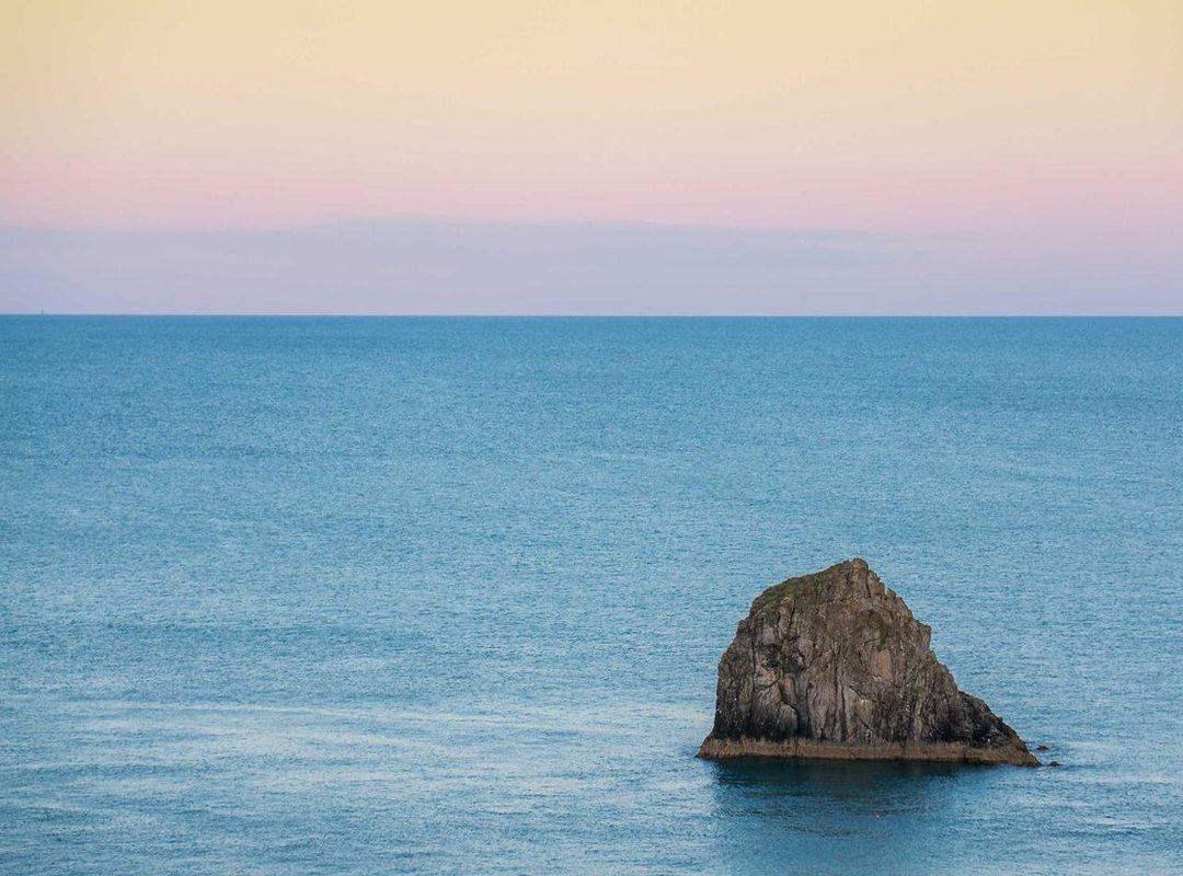 Nido vs. Continente's Store Brand: A Head-to-Head Comparison