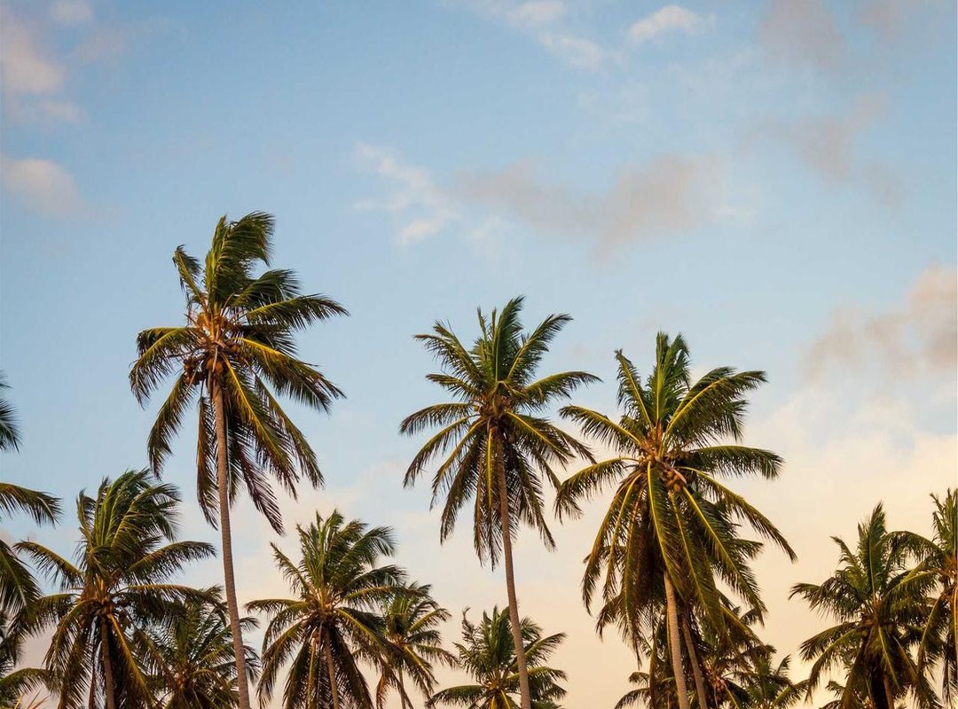 Warning: Avoid These Common Coin Master Scams